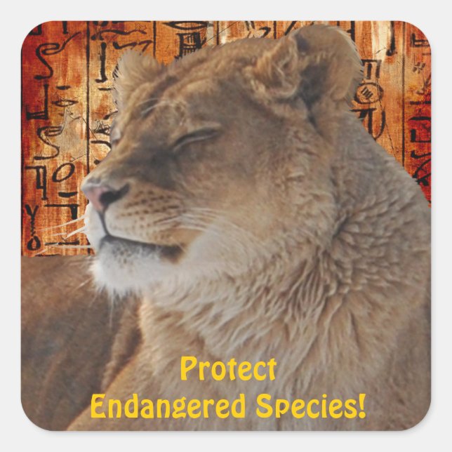 Pegatina Cuadrada Los amantes de los animales salvajes de África (Anverso)