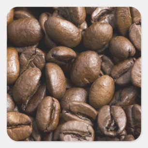 Pegatina Cuadrada Los amantes del café beans fondo marrón