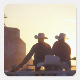 Pegatina Cuadrada Los E.E.U.U., Wyoming, pen¢ascos del pino.