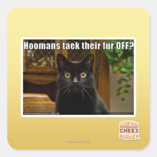 Pegatina Cuadrada ¿Los Habitantes Se Quitan La Piel?