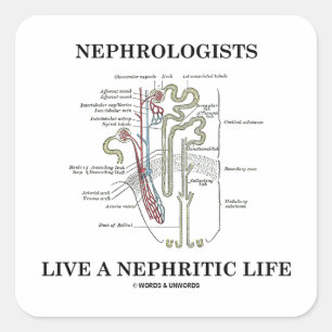 Pegatina Cuadrada Los Nefrologos Viven Una Vida Nefrita (Nephron)