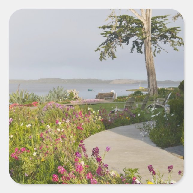 Pegatina Cuadrada Los Osos y Baywood Park se unieron (Anverso)