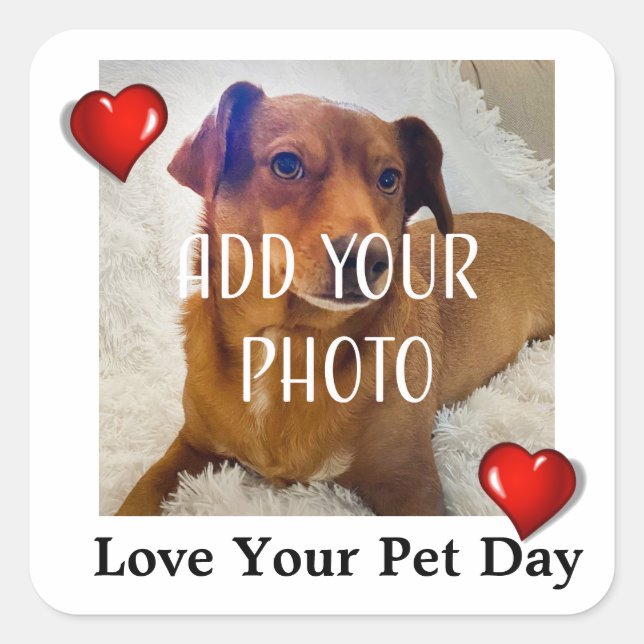 Pegatina Cuadrada Love Your Pet Day (Anverso)