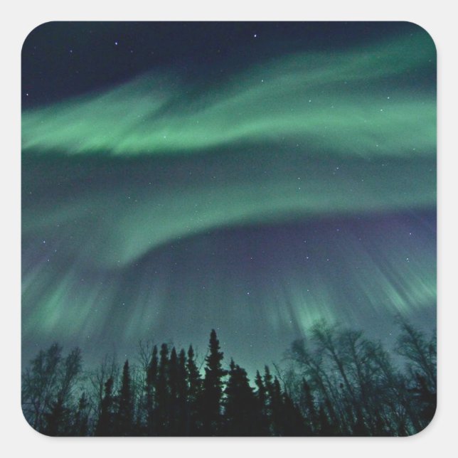 Pegatina Cuadrada Luces boreales de Alaska (Anverso)
