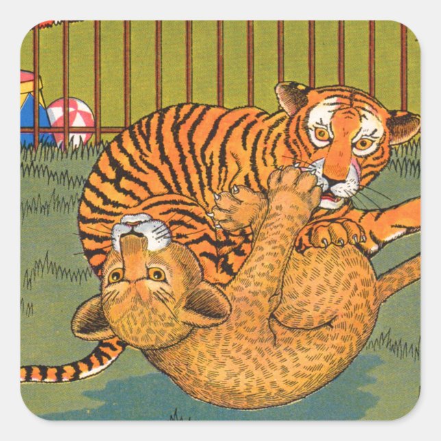 Pegatina Cuadrada lucha de tigres y leopardo (Anverso)