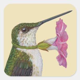 Pegatina Cuadrada Lucinda, pegatinas del colibrí