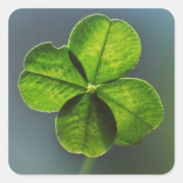 Pegatina Cuadrada Lucky Green Clover