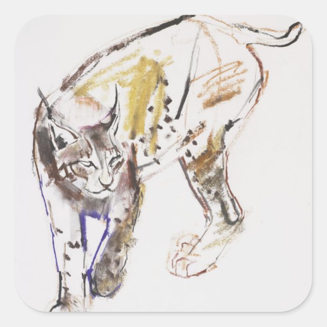 Pegatina Cuadrada Lynx europeo (Anverso)