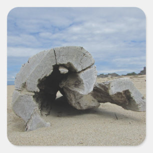 Pegatina Cuadrada Madera flotante en la playa de California, costa d
