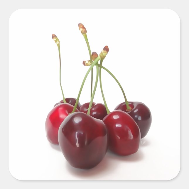 Pegatina Cuadrada maduración de cerezo (Anverso)