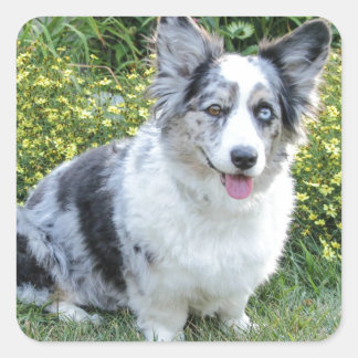 Pegatina Cuadrada Maggie Mine