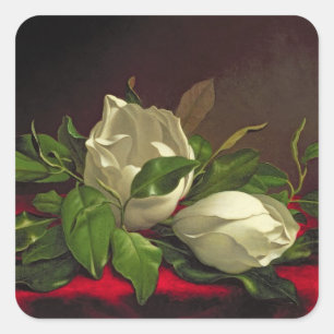 Pegatina Cuadrada Magnolia