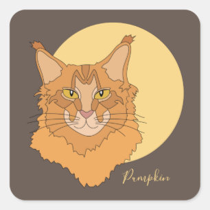 Pegatina Cuadrada Maine Coon Cat