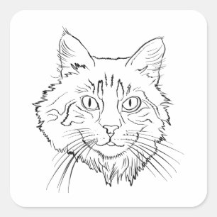 Pegatina Cuadrada Maine Coon Cat Line Art