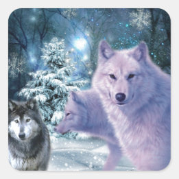 Pegatina Cuadrada Majestuosos lobos salvajes en el bosque