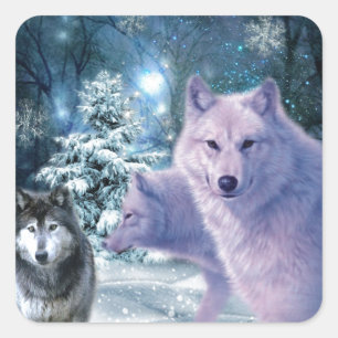 Pegatina Cuadrada Majestuosos lobos salvajes en el bosque
