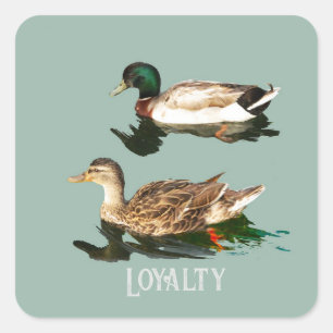 Pegatina Cuadrada Mallas de los Ducks