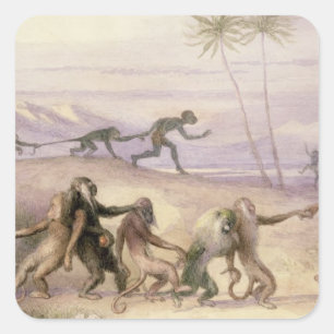 Pegatina Cuadrada Maneras y Personalizados de los monos