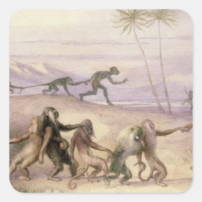 Pegatina Cuadrada Maneras y Personalizados de los monos (Anverso)
