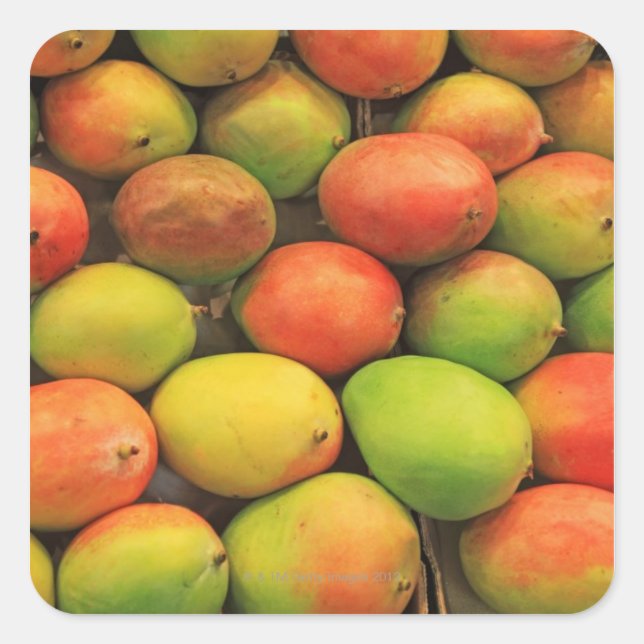 Pegatina Cuadrada Mangos, España, Cataluña, Barcelona, La Boquería (Anverso)