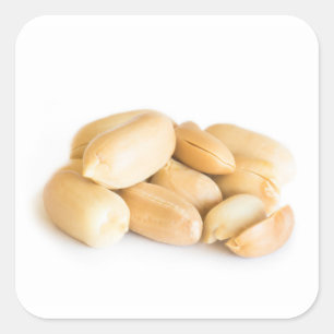Pegatina Cuadrada Maní