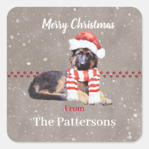 Pegatina Cuadrada Manitas de pastor alemanas tan mullidas