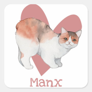 Pegatina Cuadrada Manx Cat Watercolor Kitty Pink Heart