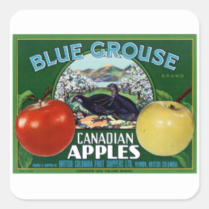 Pegatina Cuadrada Manzanas azules del canadiense del urogallo