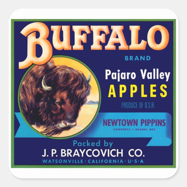 Pegatina Cuadrada Manzanas de búfalo (Anverso)