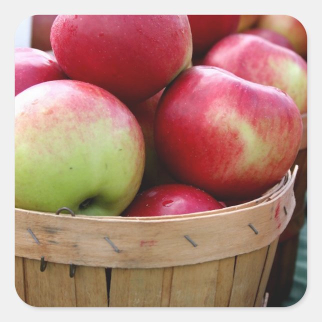 Pegatina Cuadrada Manzanas frescas en canasta en el mercado de agric (Anverso)