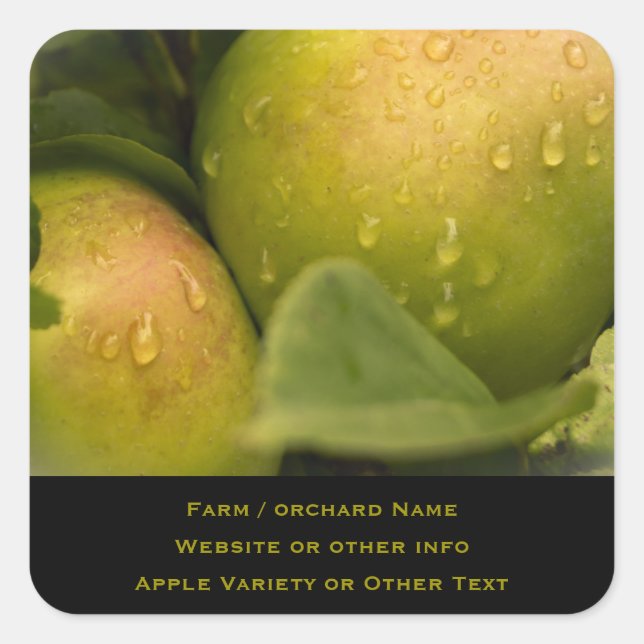 Pegatina Cuadrada Manzanas verdes frescas con un negocio fronterizo  (Anverso)