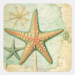 Pegatina Cuadrada Mapa náutico de estrella de mar vintage