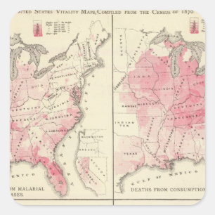 Pegatina Cuadrada Mapas de la vitalidad de Estados Unidos