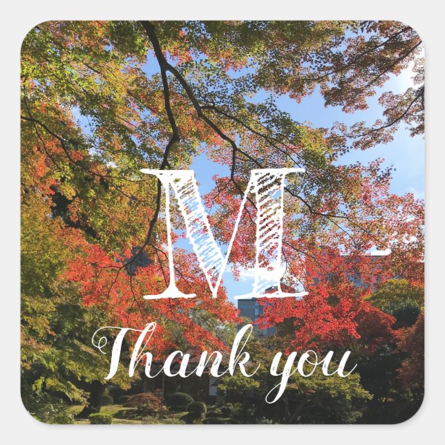 Pegatina Cuadrada Maples rojos en el jardín japonés (Anverso)