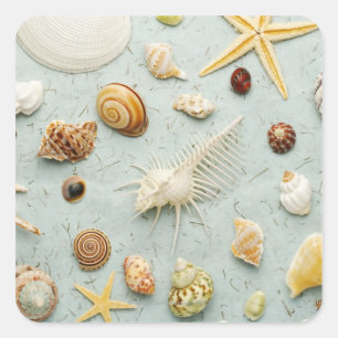 Pegatina Cuadrada Maravillas variadas sobre fondo azul