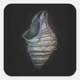 Pegatina Cuadrada Marca no 6 Versión de color