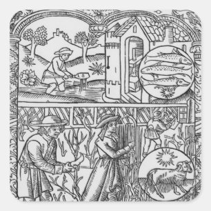 Pegatina Cuadrada Marcha, pesca y poda de árboles, Pisces