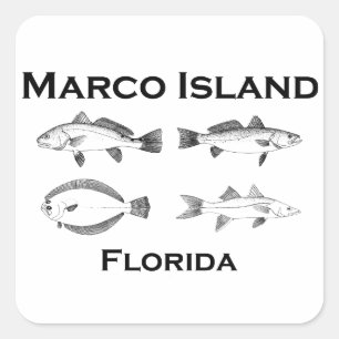 Pegatina Cuadrada Marco Island Saltwater Fish