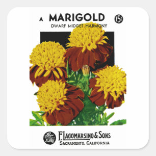 Pegatina Cuadrada Marigold
