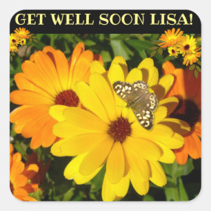 Pegatina Cuadrada Marigoles soleadas y mariposa se recuperan