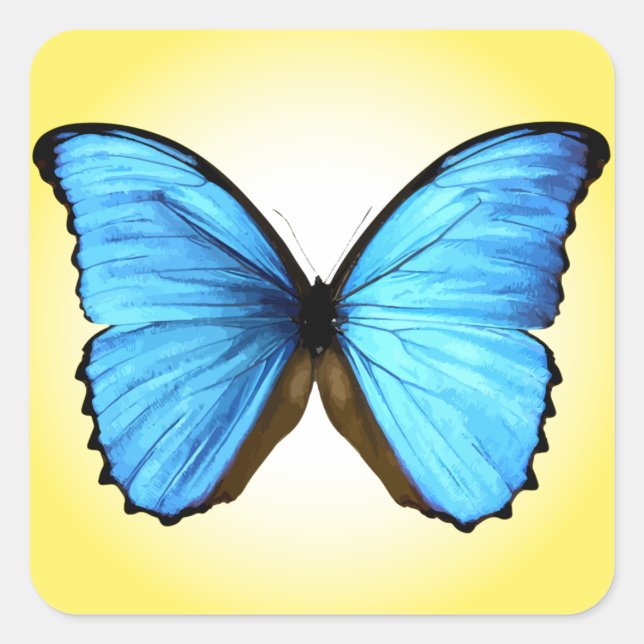 Pegatina Cuadrada Mariposa (Anverso)