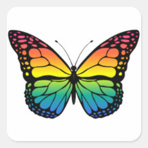 Mariposa arcoiris