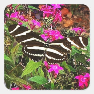 Pegatina Cuadrada Mariposa Cebra Alas Largas