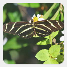 Pegatina Cuadrada Mariposa Cebra Alas Largas