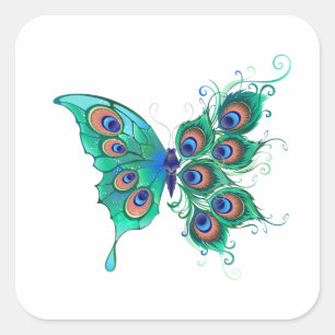 Pegatina Cuadrada Mariposa con plumas de pavo real verde