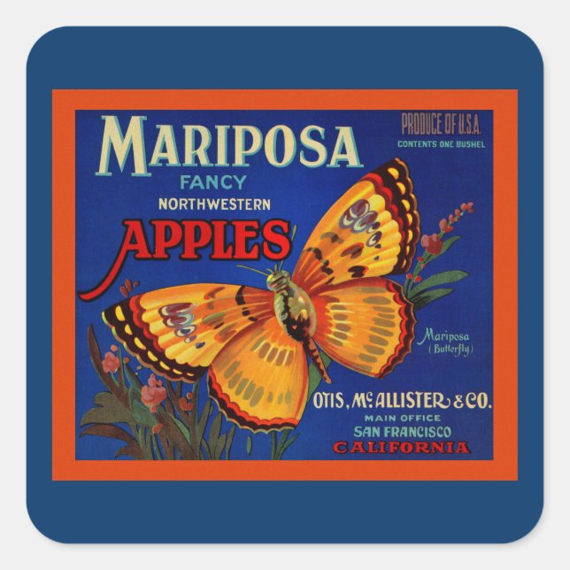 Pegatina Cuadrada Mariposa manzanas (Anverso)
