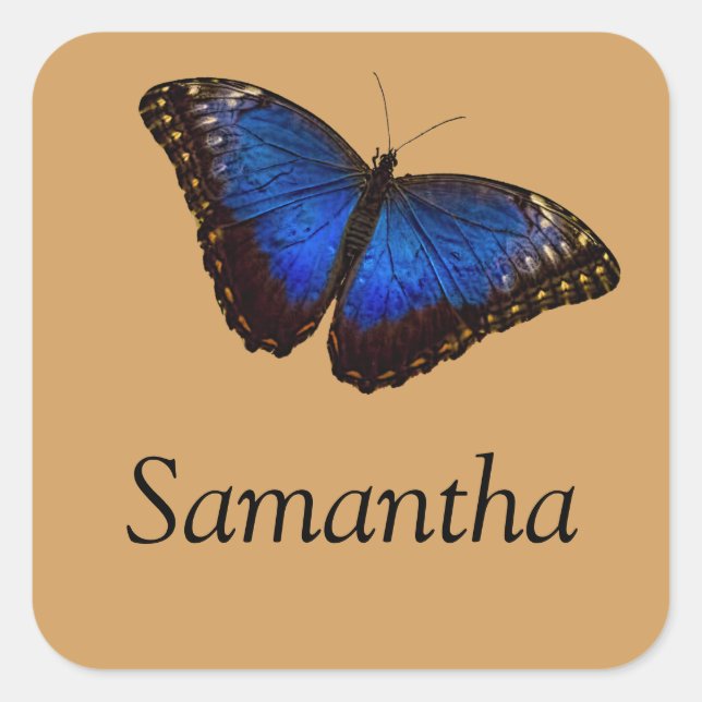 Pegatina Cuadrada Mariposa morfa azul con nombre (Anverso)