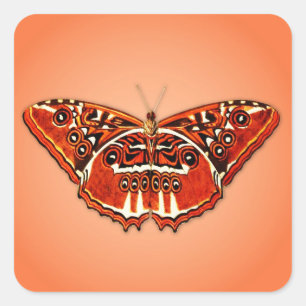 Pegatina Cuadrada mariposa naranja, negra y blanca