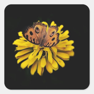 Pegatina Cuadrada Mariposa y flor amarilla
