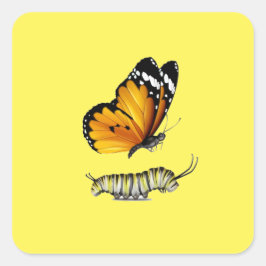 Pegatina Cuadrada Mariposa y oruga